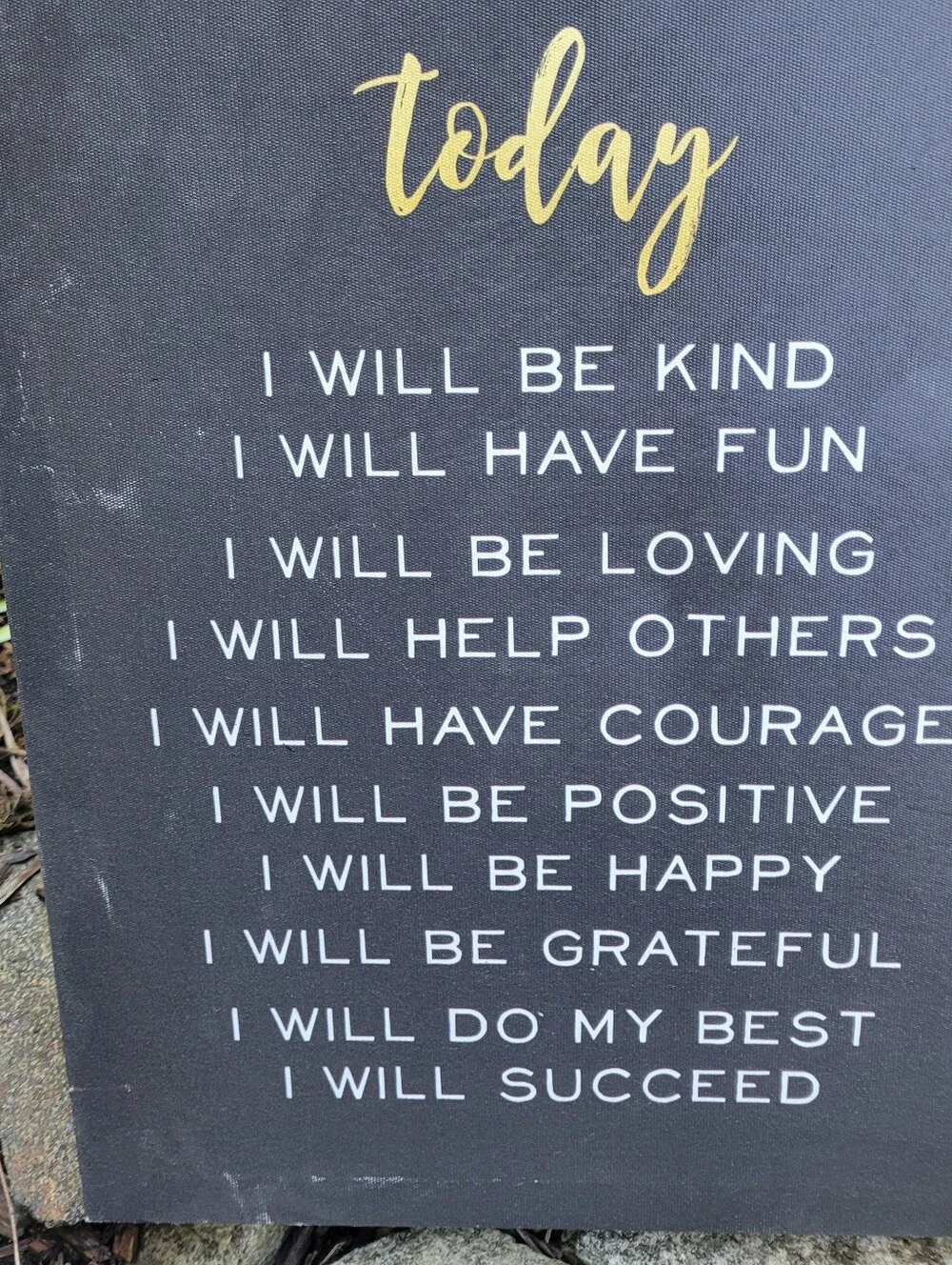 Set of 2 Inspirational Wall Decor Black Background Today I Will...